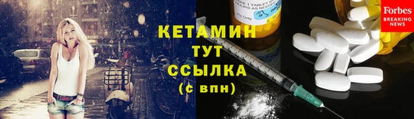 дживик Пересвет