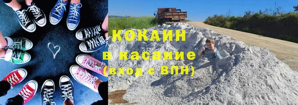 дживик Пересвет