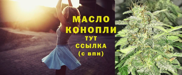 дживик Пересвет