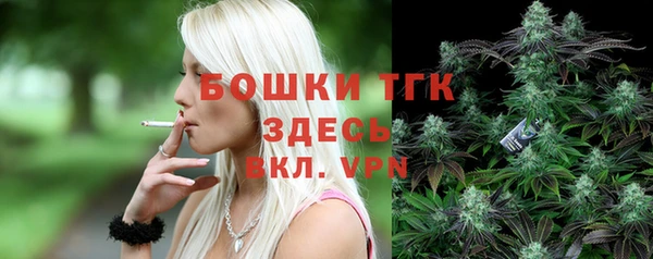 дживик Пересвет