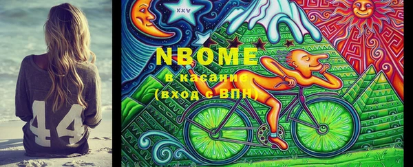 дживик Пересвет