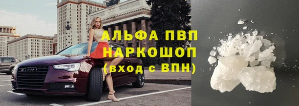 дживик Пересвет