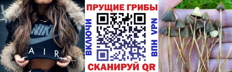 Псилоцибиновые грибы ЛСД Миллерово